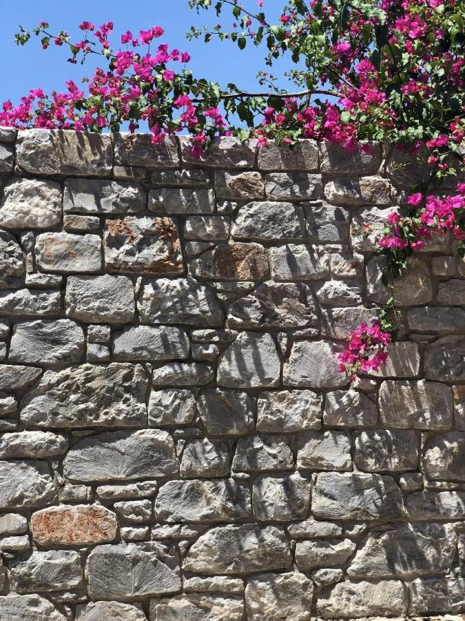Gaia Guest House Kalamata Exterior photo
